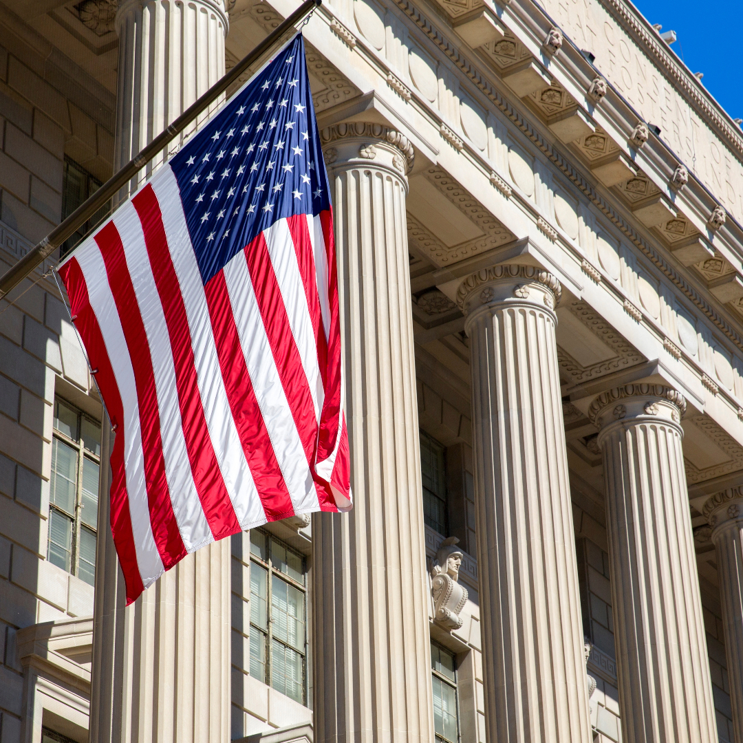 Government application